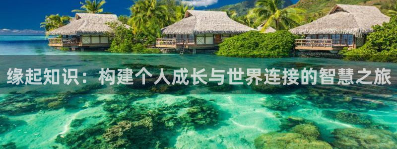 风流柜师全本小说txt下载奇书网：缘起知识：构建个人成长与世界连接的智慧之旅