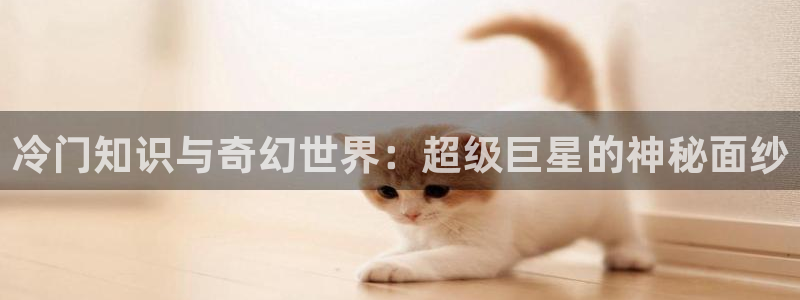 晨曦全本小说网